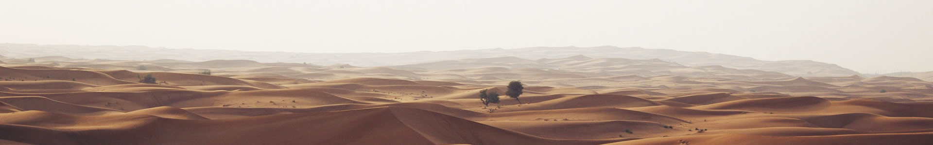 ɽյƼ޹˾